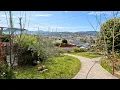 His Yard Has Never Looked This Amazing Complete Garden Restoration