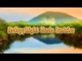 No CopyRight Music Junkies - Borneo (Free uplifting EDM audio)