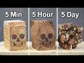 Download Lagu Ik heb 3 schedels gesneden - 5 min. vs. 5 uur vs. 5 dagen