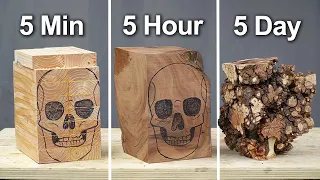 I Carved 3 Skulls - 5 Min. vs. 5 Hour vs. 5 Day