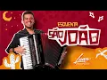 Download Lagu EP ESQUENTA SÃO JOÃO #4 - LUAN ESTILIZADO 2021