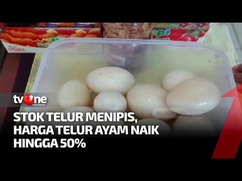 Stok Telur di Maluku Menipis, Harga Jadi Naik Tidak Masuk Akal
