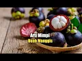 Download Lagu Arti Mimpi Buah Manggis
