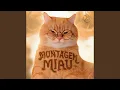 Lagu Montagem Miau (Slowed)