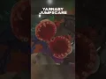 Poppy Playtime Chapter 4 Yarnaby Jumpscare