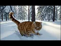 ❤️ Cat's Long Journey Home ❄️🐱 "I Would Walk 300 Miles" (Official Meowsic Video)