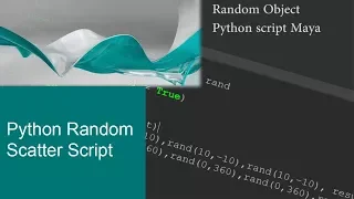 Maya Python random script