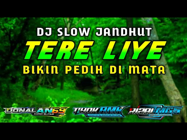 Download MP3 Dj Tere  Liye Slow Jhandut Paling Romantis