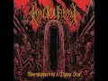 Download Lagu Heliolatry - Worshippers of a Dying Star (Full-Length, 2025)