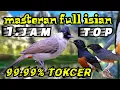Download Lagu masteran kutilang gacor full isian murai batu || 1.jam top 99.99% tokcer