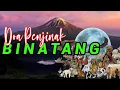 Download Lagu Doa Nabi Sulaiman Untuk Menjinakkan Hewan - 100% TERBUKTI ‼️