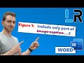 MS Word Include only part of image caption in table of figures