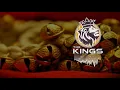 Download Lagu Wajle Ki Bara | Natarang HQ | Amruta Khanvilkar | Ajay-Atul | Lavani Songs | Kings united remix