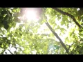 Download Lagu Guided Meditation on Gratitude with Deepak Chopra