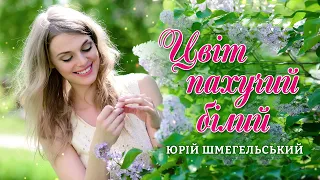 Цвіт пахучий білий 2025 Юрій Шмегельський 