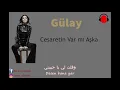 Cesaretin Var Mı Aşka _  اغنية هل تملك الشجاعة كي تحب  مترجمة للعربي