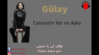 Cesaretin Var Mı Aşka اغنية هل تملك الشجاعة كي تحب مترجمة للعربي 