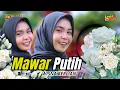 Download Lagu Mawar Putih- Lagu Viral Tiktok Versi Theband Akadmi 7 Kini rilis Cover Musik JAlanan Berlian