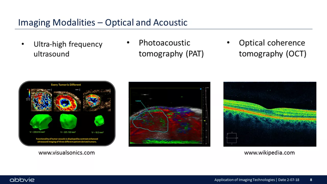 Applications of Preclinical Translational Imaging Technologies for Improved Modeling