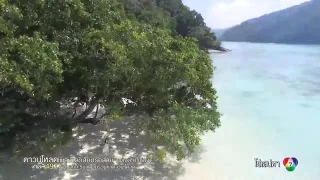  ost official mv webm