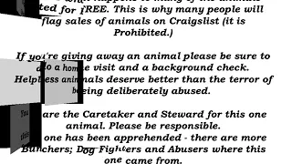 Craigslist Still a Horror for Free Pets