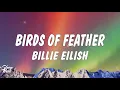 Lagu Billie Eilish - BIRDS OF A FEATHER (Lyrics)