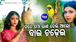 Tate Mo Raana Deli Alo Baichadhei - Superhit Sad Song Namita Agrawal Maina Bobby Sidharth Music