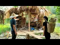 Download Lagu Restore abandoned bamboo house as shelter, harvest vegetables to sell and cook