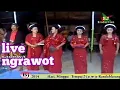 Download Lagu TAYUB SRi MARGOMULYO FULL ALBUM live ngrawot
