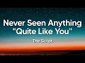 Download Lagu The Script - Never Seen Anything \