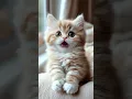 Download Lagu It’s okay I‘ll forgive you anything 🤣 #lipsync #cat #kitten #cute #catlovers