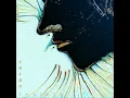 年輕小說家 - Pandora樂隊