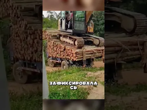 Необычный СПОСОБ перевозки дров без 😱🔥🚛