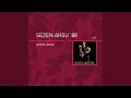 Download Lagu Bir Çocuk Sevdim