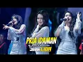Download Lagu PRIA IDAMAN JIHAN LIDA New Andrena (0812 9026 2538) WEDD IKE NURJANAH \u0026 ISMAIL CIKETING UDIK