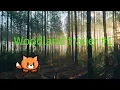 GimKit creative trailer woodland trailer
