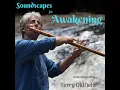 Lagu SOUNDSCAPES FOR AWAKENING ... Full Album ... Terry Oldfield