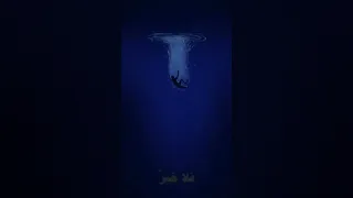 فرحت اناشد الظلماء ايني حزينه  فرحت اناشد الظلماء ايني حزينه