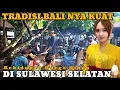 Lagu LUAR BIASA...!! TRADISI ADAT BALI NYA KUAT, SUASANA KAMPUNG HINDU DI SULAWESI SELATAN