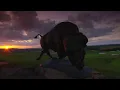 BransonVisitorTV Live Stream