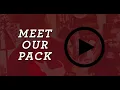 Hollywood Feed Retail Team