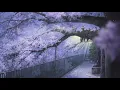 Chrono Cross - Departed Soul (Leaving the Body) Slowed and Extended 1-Hour