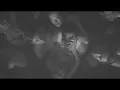 Download Lagu BAD BUNNY ft. RaiNao - PERFuMITO NUEVO (Sped Up)