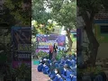 Download Lagu Mencintai dengan Ngeyel By Ananda Novia Ambarsari \u0026 Tasya Lorenza - 8G - Lomba Karaoke -20 Juni 2022