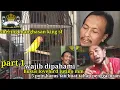 Download Lagu PART 1 || 5 POIN PENTiNG TAHAP PENGGACORAN LB LUTINO MM