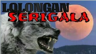 theraphy anak susah tidur lolongan serigala