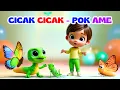 Lagu Cicak Cicak di Dinding - Pok Ame Ame dan Lagu Anak Indonesia Lainnya - Balita TK PAUD