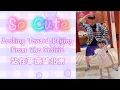 Download Lagu LiuFuYang dancing with sister's daughter| Looking toward Beijing from the Prairie | 刘福洋和外甥女共舞站在草原望北京
