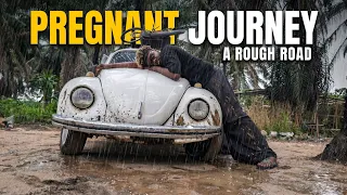 Pregnant Journey (Short Film)