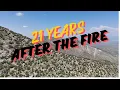 21 years after the Aspen Fire Mt Lemmon